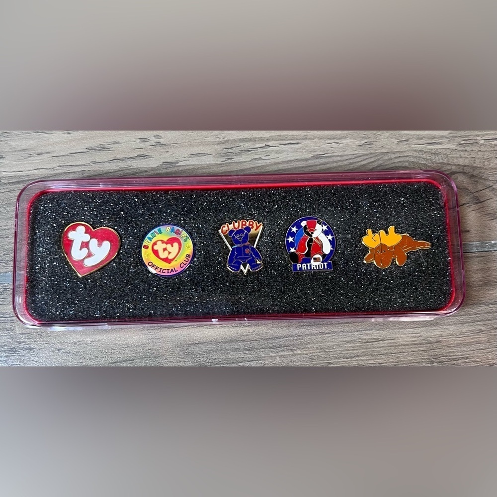 Vintage Ty Beanie Official Club Collector Pins set of 5 in case (2002)